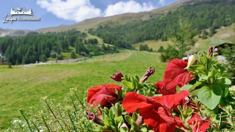 Baita Epi Cusini By Livigno Accomodation Exterior photo